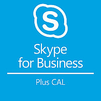 Skype for Business Plus CAL - месячная подписка
