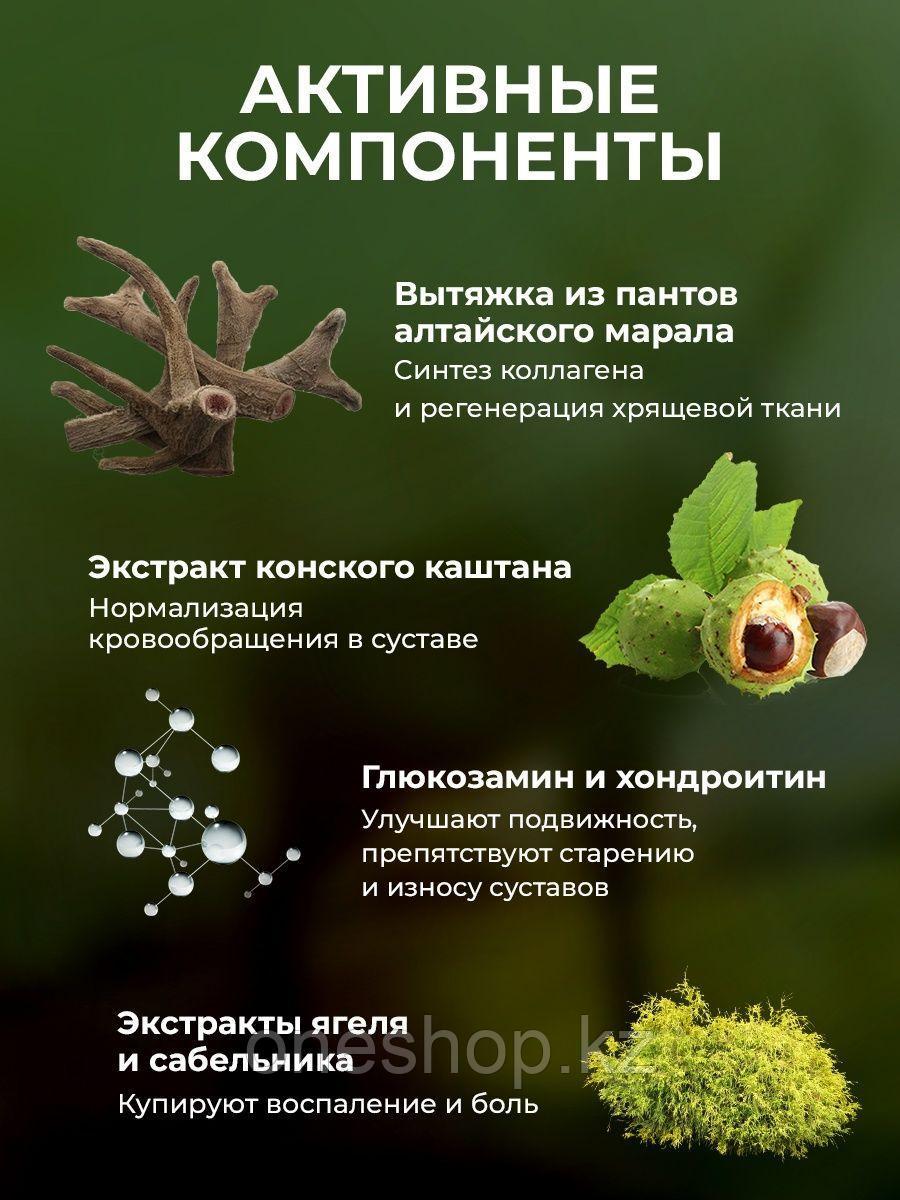 Сусталит От Суставов Цена Мазь Инструкция