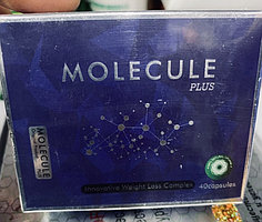 Molecule Plus