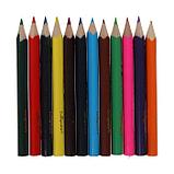 Карандаши цветные 12 цветов МИНИ, корпус деревянный, треугольный, фото 2
