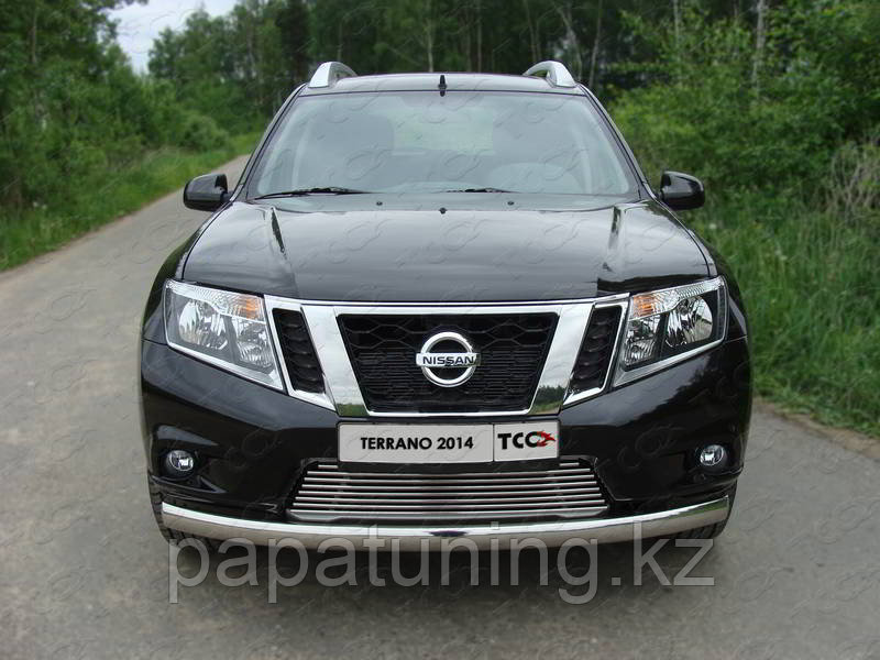 Защита передняя нижняя (овальная) 75х42 мм ТСС для Nissan Terrano 2014-, фото 1