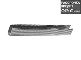 ЗУБР 14 мм скобы для степлера кабельные тип 36, 1000 шт (31612-14_z01)