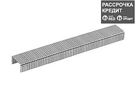 ЗУБР 12 мм скобы для степлера плоские тип 140, 1000 шт (31630-12_z01)