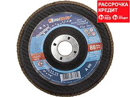 Круг лепестковый торцевой, 150 х 22,2мм, тип КЛТ1, "Луга" Р80 (3656-150-80)