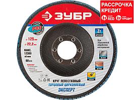 Круг лепестковый торцевой циркониевый, 125х22,2мм, тип КЛТ 1, ЗУБР P80 (36596-125-80)