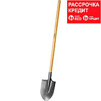 Лопата "ФАВОРИТ" штыковая, деревянный черенок, ЗУБР Профессионал (4-39501_z02)