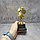 Кубок для награждения "Три звезды" с местом для фото 18 см маленький, фото 3