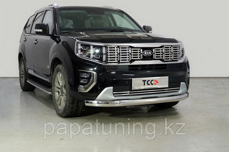 Защита передняя нижняя (овальная) 75х42 мм ТСС для Kia Mohave 2020-