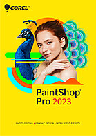 PaintShop Pro 2023 Corporate Edition License, бессрочная