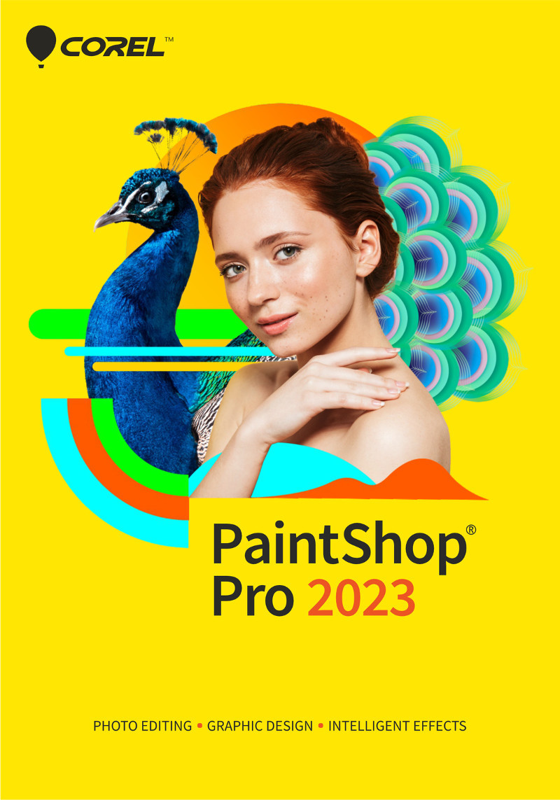 PaintShop Pro 2023 Corporate Edition License, бессрочная - фото 1 - id-p108533633
