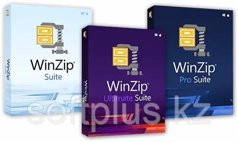 WinZip 27 Pro Upgrade License , обновление - фото 1 - id-p108533694