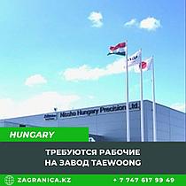 Венгрия требуются рабочие на завод Taewoong