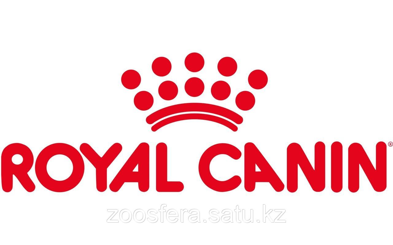 Корм ROYAL CANIN для кошек в ассортименте