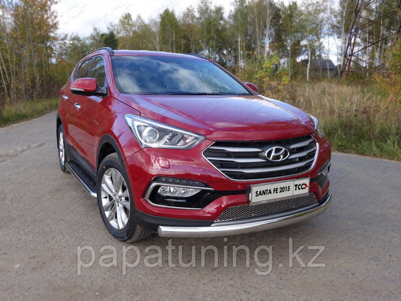 Защита передняя нижняя (овальная длинная) 75х42 мм ТСС для Hyundai Santa Fe Premium (DM) 2015-2018, фото 1