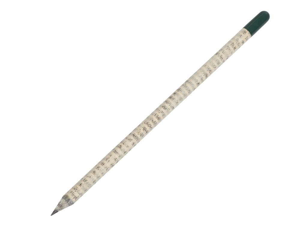 Растущий карандаш с семенами гвоздики - фото 1 - id-p108560353