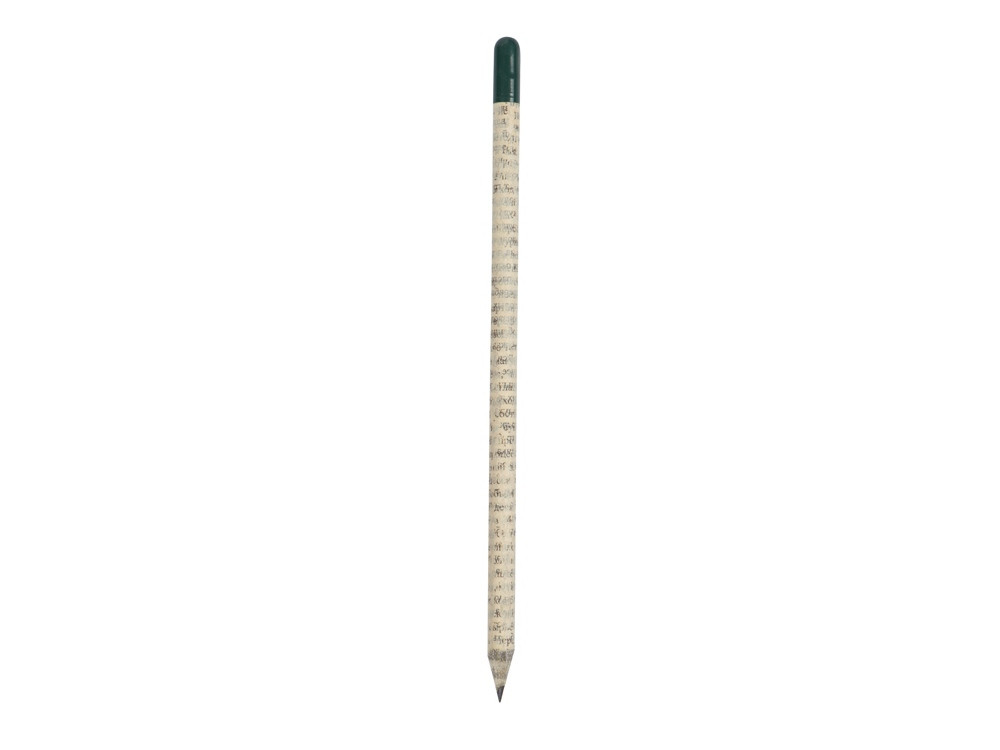Растущий карандаш с семенами гвоздики - фото 2 - id-p108560353