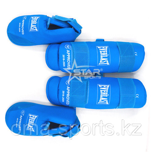 Боевые искусства. футы EVERLAST