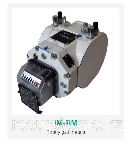 Счетчик ротационный Rotary PF IM-RM G 65