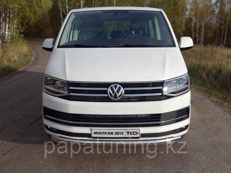 Защита передняя нижняя (овальная) 75х42 мм ТСС для Volkswagen Multivan (T6) 2015-, фото 1