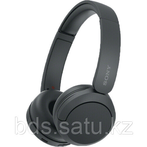 Беспроводные накладные наушники Sony WH-CH520 (черные)