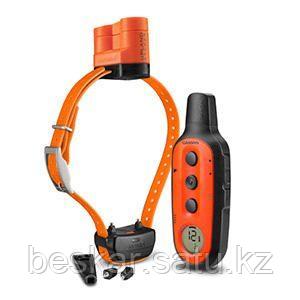 Ошейник Delta Sport XC Bundle Beeper - фото 1 - id-p108609739