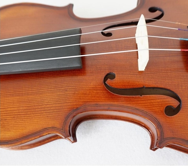 Скрипка Violin MVT700 4/4 резной массив ели и огненный клен - фото 3 - id-p108618704