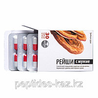 ГРИБ РЕЙШИ с мумиё, экстракты натуральные