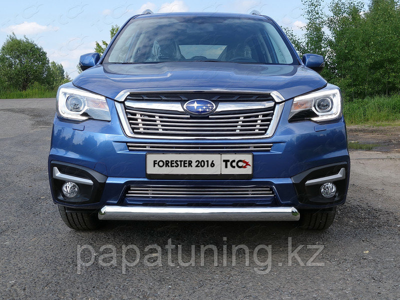 Защита передняя (овальная короткая) 75х42 мм ТСС для Subaru Forester (SJ) 2016-2017, фото 1