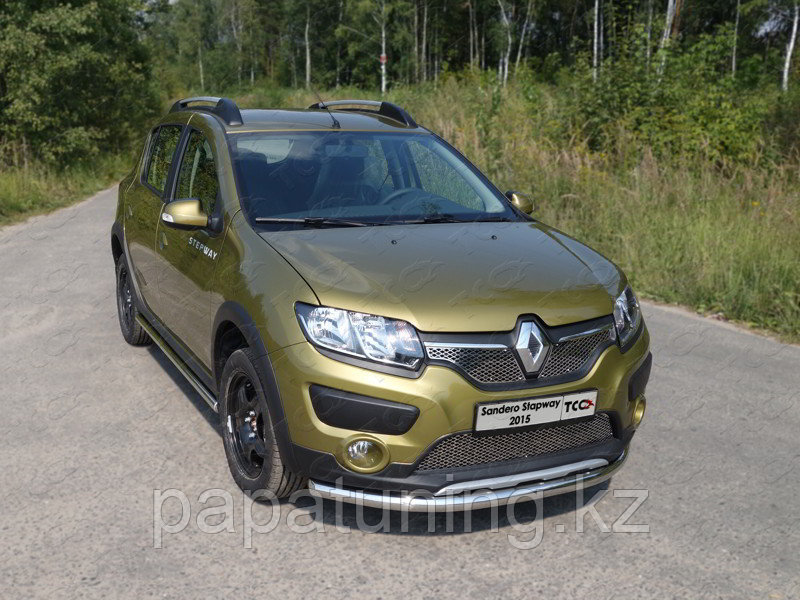 Защита передняя нижняя 60,3 мм ТСС для Renault Sandero Stepway (5S) 2014-2018 - фото 1 - id-p108380874