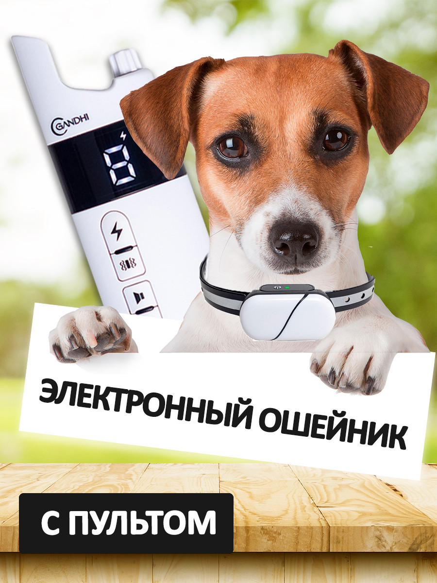 Электроошейник ошейник для собак антилай - фото 1 - id-p108635881