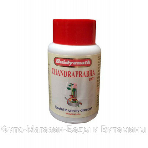 Чандрапрабха Бати мочегонное, тонизирующее средство (BAIDYANATH Chandraprabha Bati) 80 таб, фото 2