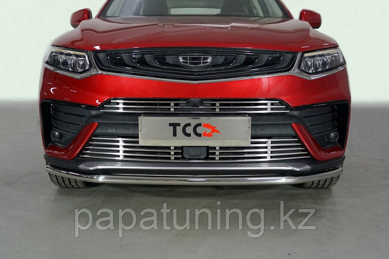 Защита передняя нижняя 42,4 мм ТСС для Geely Tugella 2022-