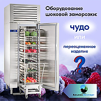 Оборудование шоковой заморозки: чудо или переоцененное изделие?