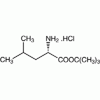 Терт-бутил эфир гидрохлориді L-лейцин CAS 2748-02-9