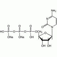 Цитидин-5'-трифосфат динатриевая соль CAS 36051-68-0