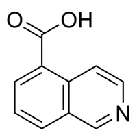 Изохинолин-5-карбоновой кислоты CAS 27810-64-6