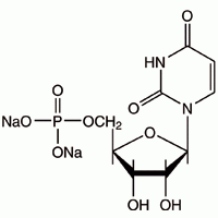 Уридин-5'-монофосфат динатриевая соль CAS 3387-36-8