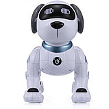 Интерактивный робот собака Stunt Dog, фото 6