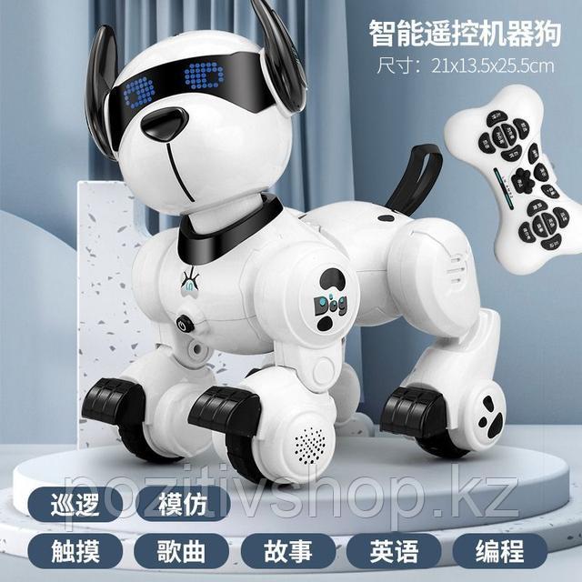 Интерактивный робот собака Stunt Dog