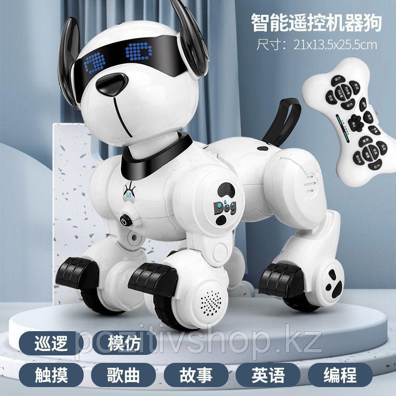Интерактивный робот собака Пикси - фото 4 - id-p108682657