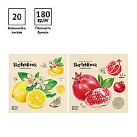 Скетчбук для акварели 20л. 190*190 на склейке ArtSpace "Fruits", 180г/м2 38351, фото 6