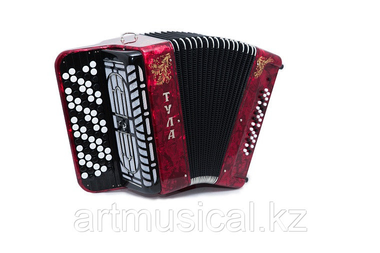 БАЯН БН-46 УЧЕНИЧЕСКИЙ ДВУХГОЛОСНЫЙ "ТУЛА" 77/46Х37-II купить по лучшей ...