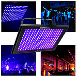CHAUVET TFX-UVLED Светодиодный ультрафиолетовый прожектор, фото 2