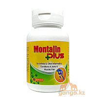 Монталин плюс для здоровья суставов (Montalin plus AYUSRI), 60 капсул