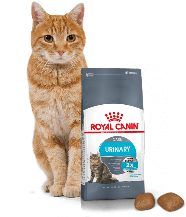 Royal Canin (Роял Канин) Urinary Care, Корм для кошек при мочекаменной болезни (развес) - фото 1 - id-p108763054