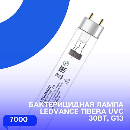 Бактерицидная лампа Ledvance TIBERA UVC 30Вт, G13, фото 2