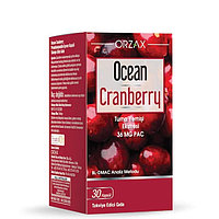 Ocean CRANBERRY 30 CAPSULES экстракт клюквы от цистита
