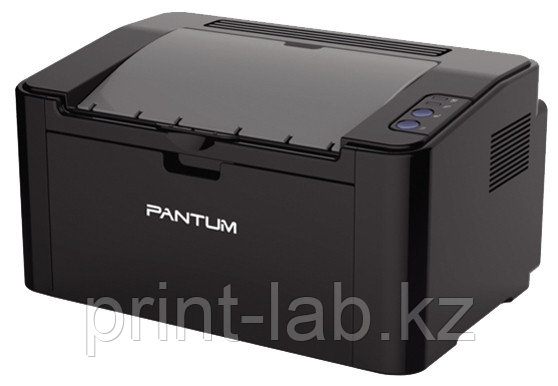 Принтер Pantum P2507