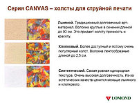 Холст рулонный Lomond (1207031)  хлопковый 24" (610мм*10м*50мм) 400 г/м2 for pigment, фото 3