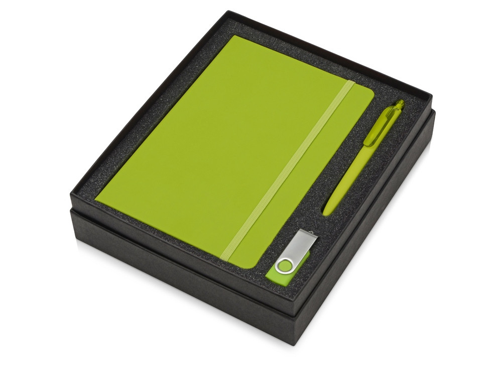 Подарочный набор Vision Pro Plus soft-touch с флешкой, ручкой и блокнотом А5, зеленый - фото 2 - id-p108863963